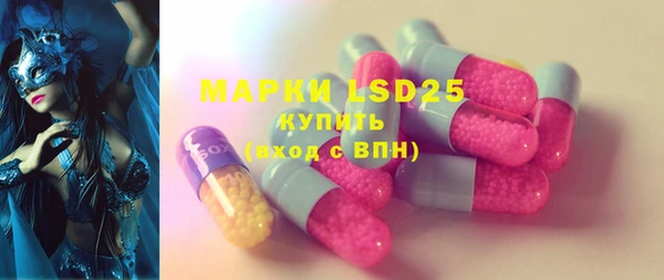 молекула духа Краснослободск