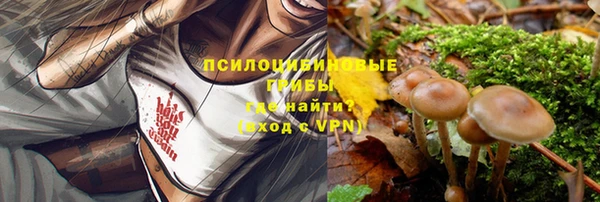твердый Кукмор