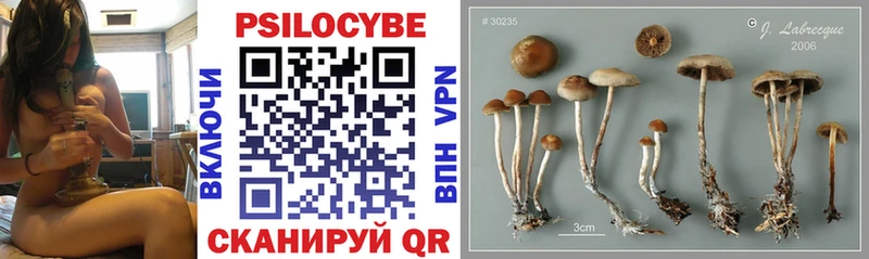 blacksprut ссылки  Ковдор  даркнет состав  Галлюциногенные грибы Psilocybe 