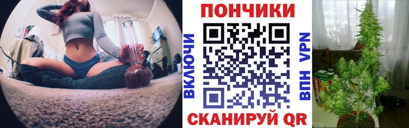 Канабис ГИДРОПОН  Ковдор 
